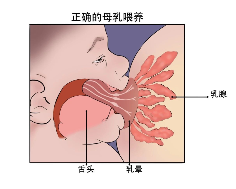 12.png 12.png